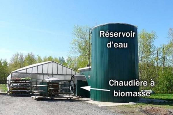 Réservoir et chaudière biomasse