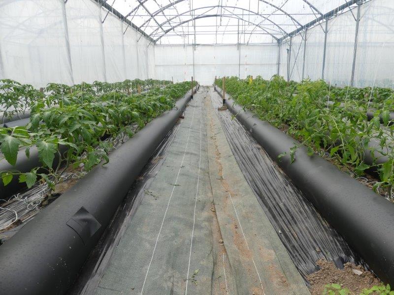 Tubutube sleeve bioclimatic greenhouse
