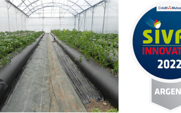 Tubutube, a black sleeves solar greenhouse system to receive SIVAL silver medal, Angers, France