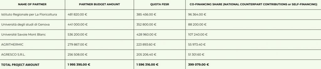 budget Allocation ERMESS GREEN