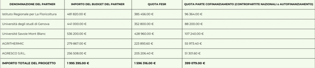 Ripartizione del Budget ERMESS GREEN