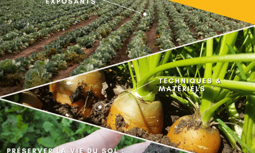🌱Rencontrez nous à Semeurs de BIO (63)
