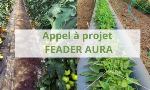 Appel à projets FEADER Auvergne-Rhône-Alpes