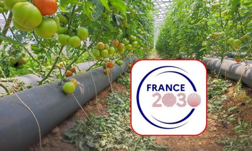 Découvrez les aides de FranceAgriMer pour la filière fruits et légumes