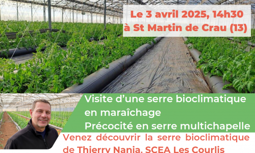Venez découvrir la serre bioclimatique de Thierry Nania, SCEA Les Courlis