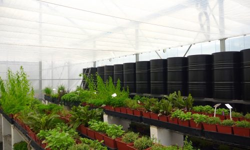 Offre de stage : Etude du climat dans des serres agricoles