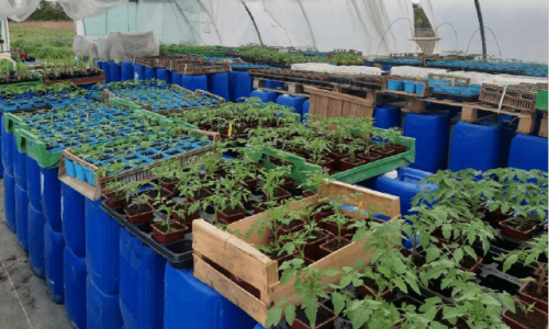 Venez visiter la serre bioclimatique d&rsquo;Emilie Barde !