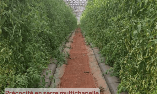 Venez visiter la serre bioclimatique de Thierry Nania !
