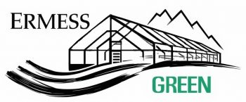 Ermess green