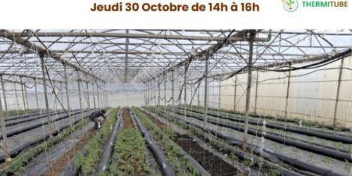 Thermitube vous invite à l’installation de la serre de M. Martel le 30 octobre 2025