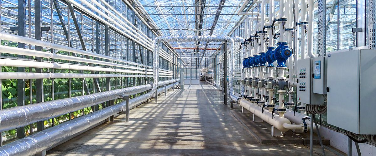 specific-greenhouse